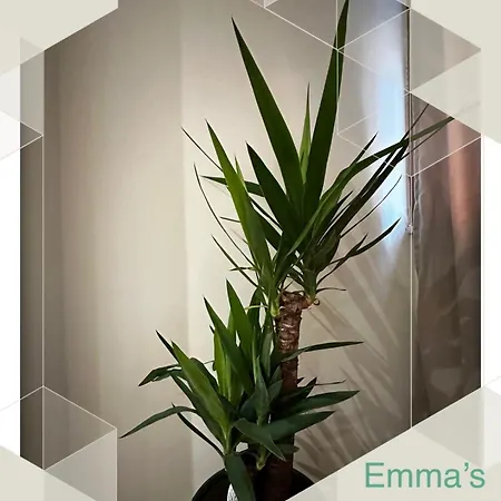 Emma's Διαμέρισμα *